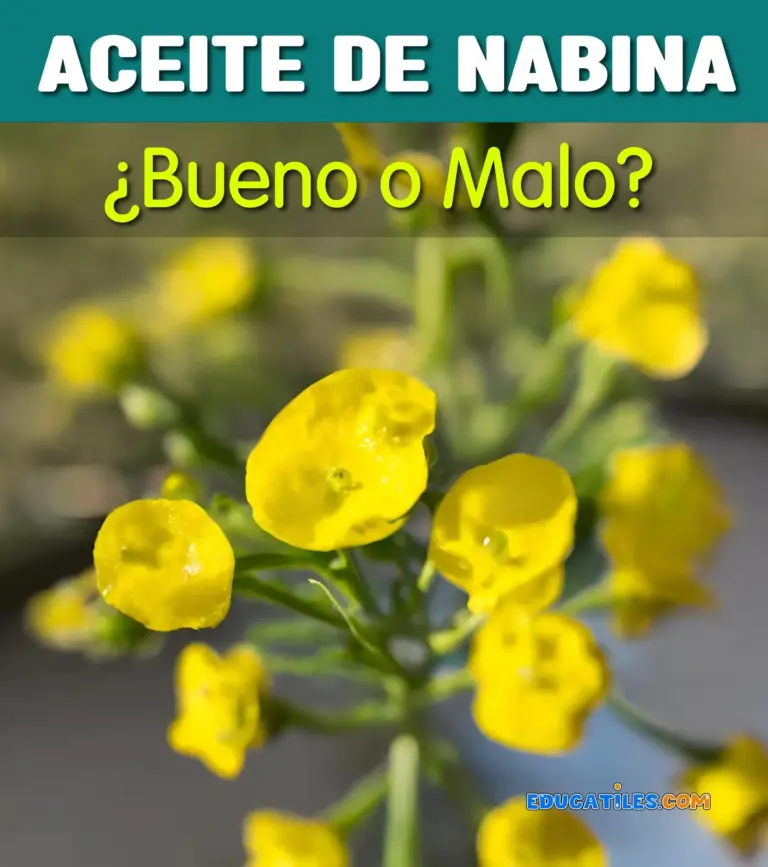 Aceite de Nabin: ¡Beneficios para la Salud y la Belleza!