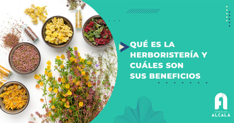 Herboristería Jaca: Descubre los beneficios de la medicina natural.